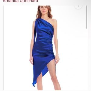 NWT Amanda Uprichard Mary Clare Dress Small